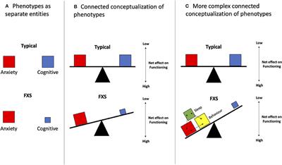 Phenotypic Trade-Offs: Deciphering the Impact of Neurodiversity on Drug Development in Fragile X Syndrome